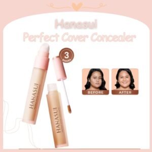 hanasui perfect cover concealer 4,5g