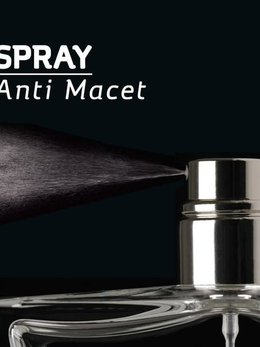 brasov eau de parfum 50ml/unisex perfume brasov eau de parfum 50ml/unisex perfume